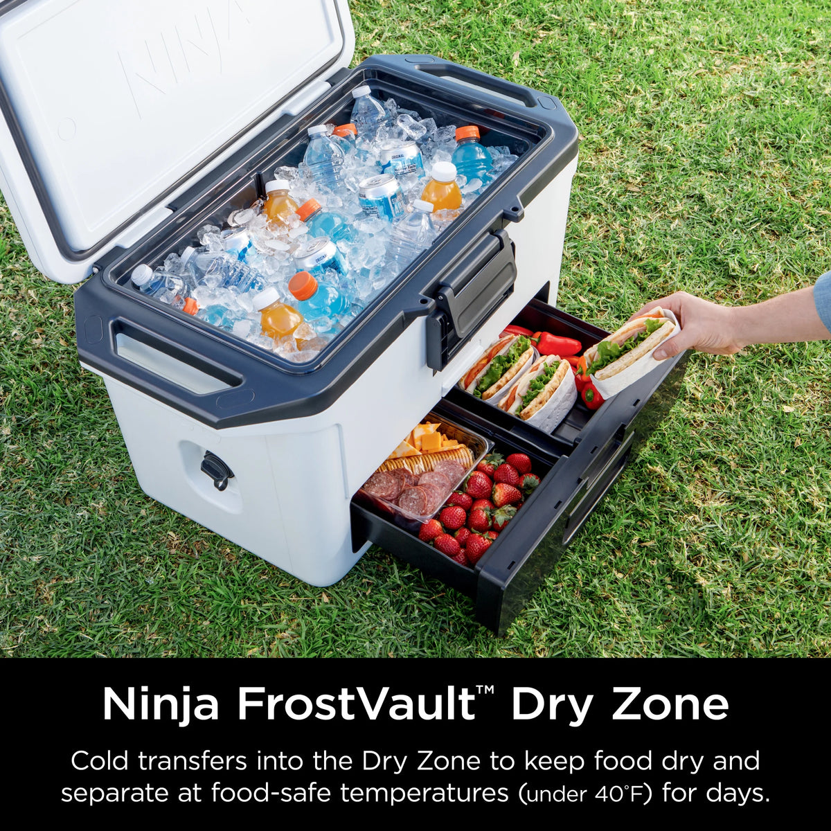 Ninja Frostvault 50qt Hard Cooler with Dry Zone, Gray, FB151GY