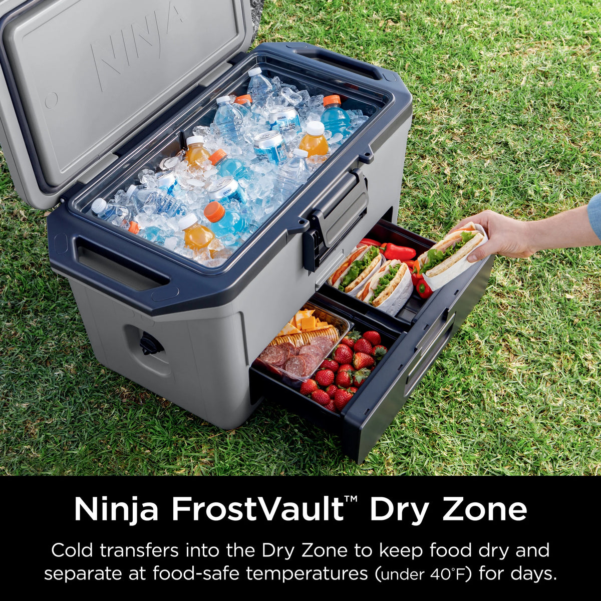 Ninja Frostvault 50qt Hard Cooler with Dry Zone, Gray, FB151GY